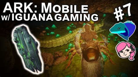 Iguana Gaming .